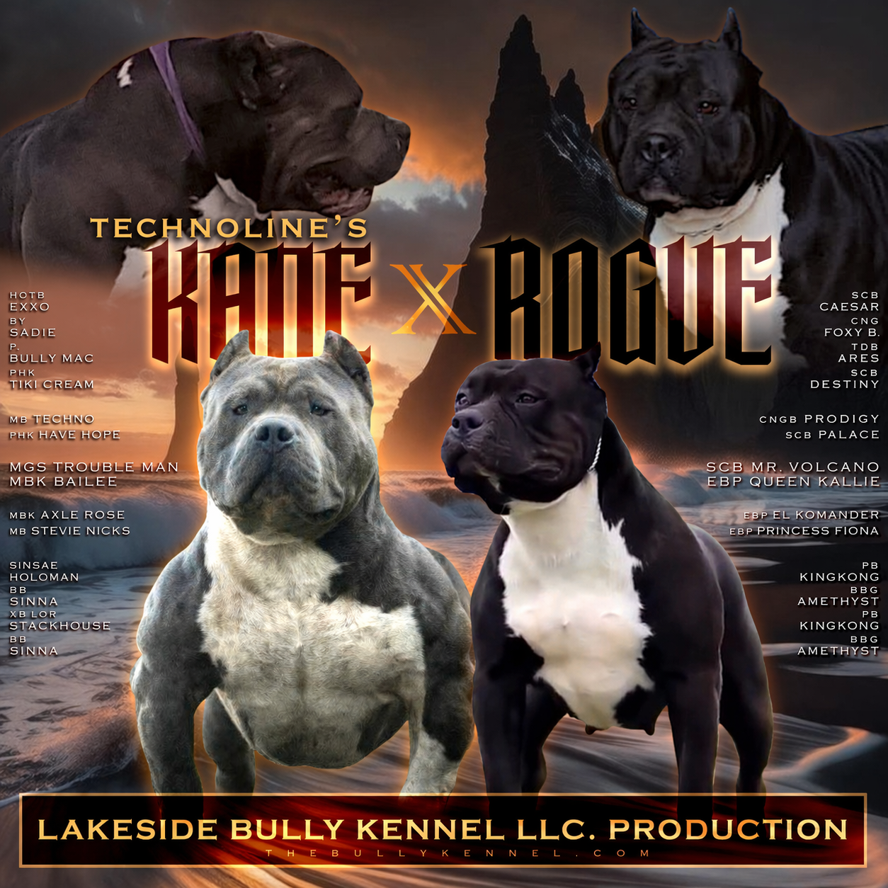 Kane × Rogue litter banner