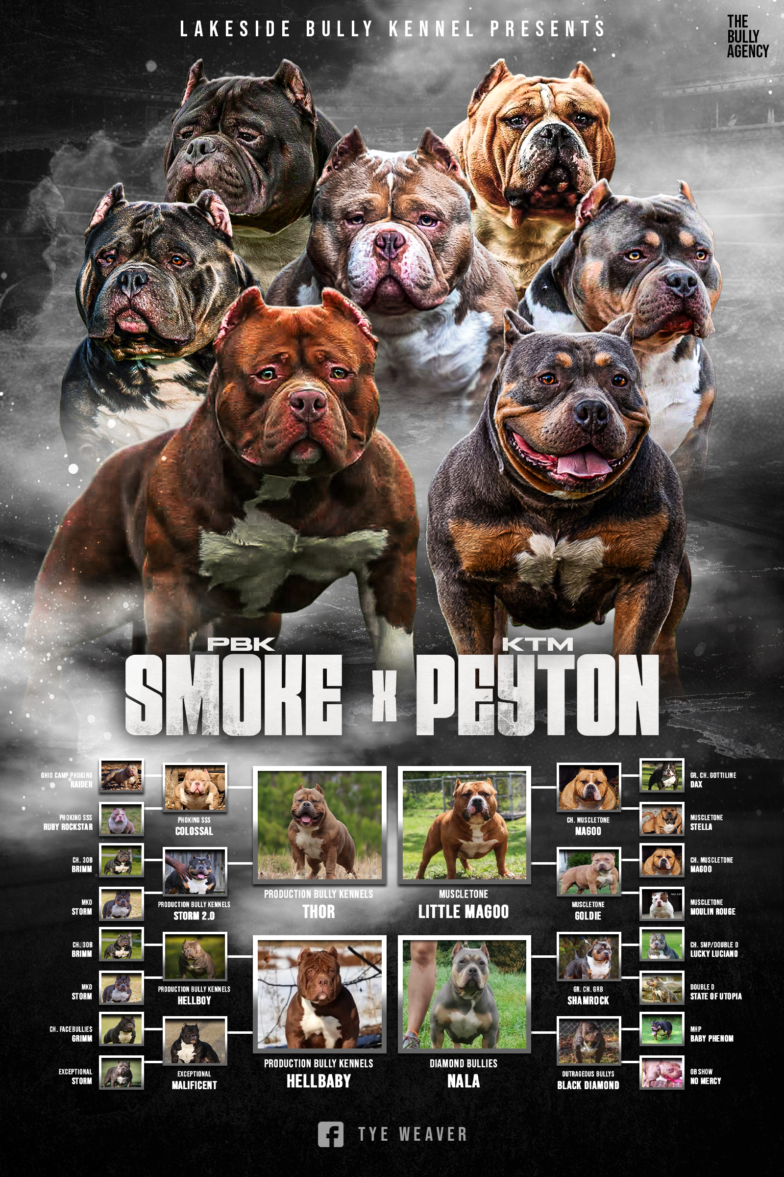 PBK’s Smoke × Peyton litter banner