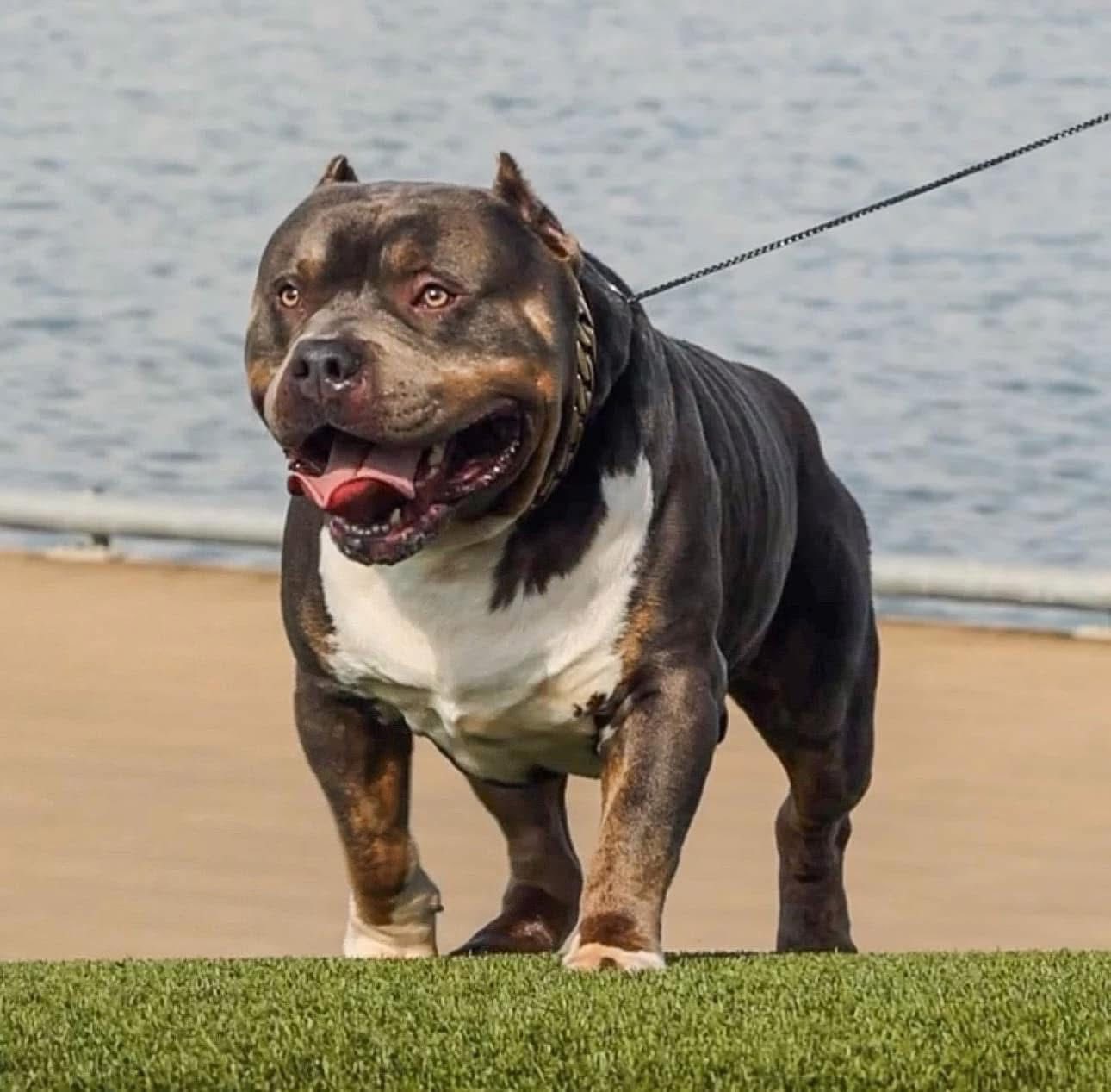Zeus
