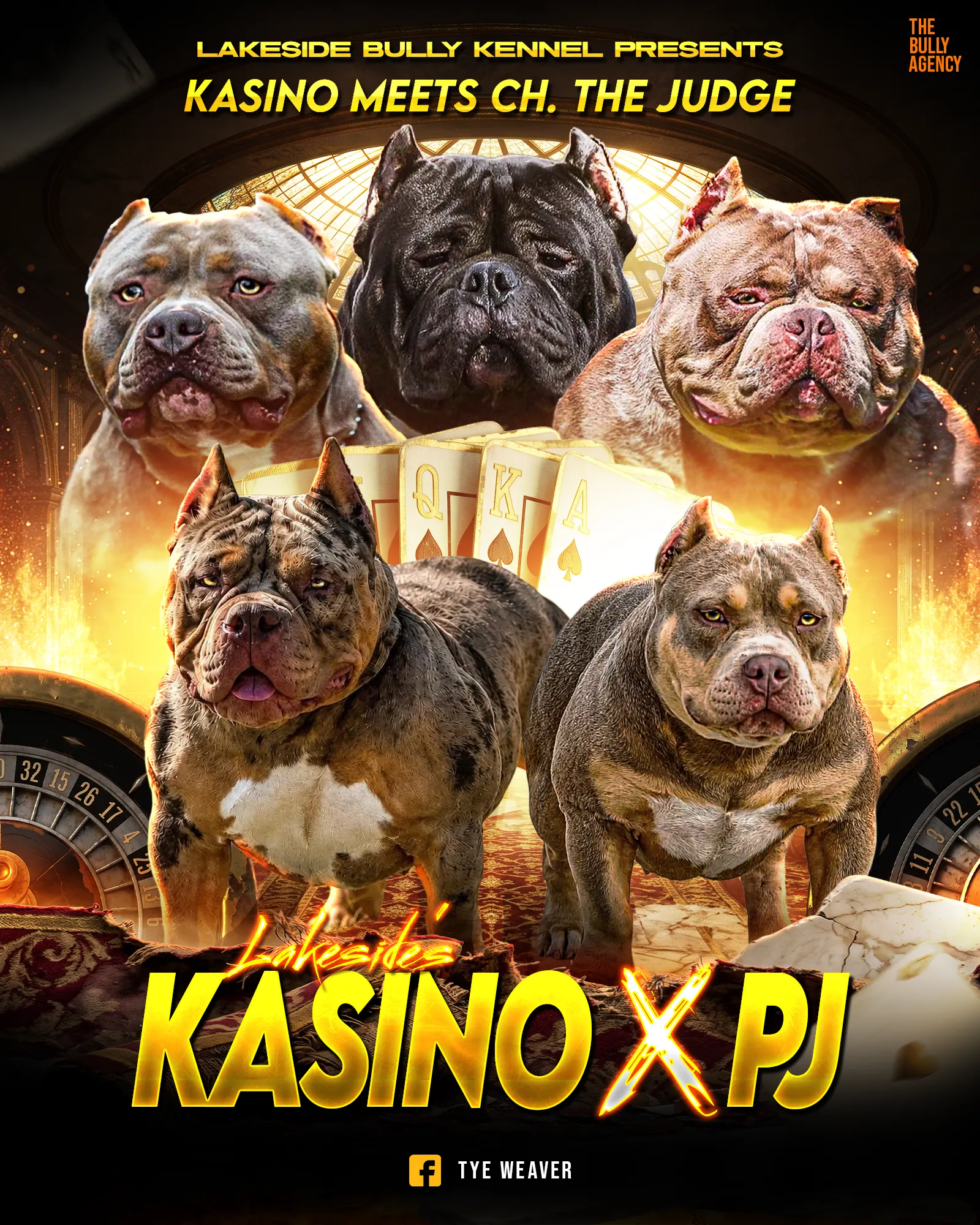 Kasino × PJ litter